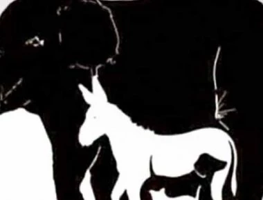 Η σπαζοκεφαλιά που έχει «τρελάνει» το διαδίκτυο - Πόσα ζώα βλέπετε; (φωτό)